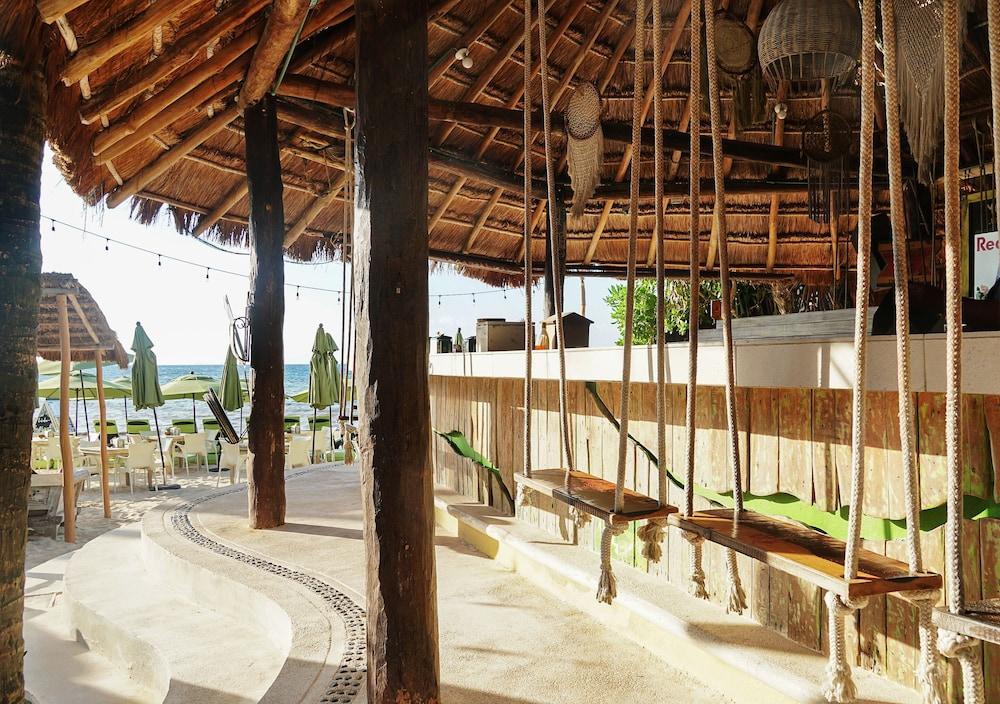 Hotel Casa Colibri Плая-дель-Кармен Экстерьер фото